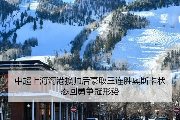 zhong-chao-shang-hai-hai-gang-huan-shuai-hou-hao-qu-san-lian-sheng-ao-si-ka-zhuang-tai-hui-yong-zheng-guan-xing-shi-2-225.jpg